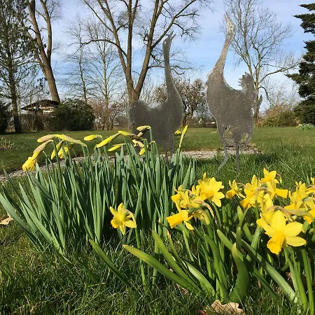 Scholien Сasa de vacaciones