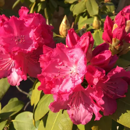 Сasa de vacaciones Scholien Otterndorf