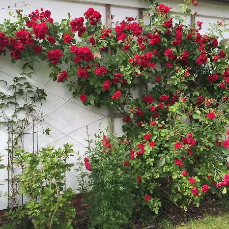 Сasa de vacaciones Scholien