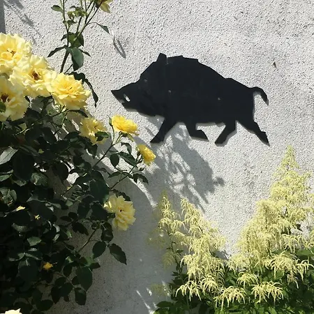 Scholien Сasa de vacaciones