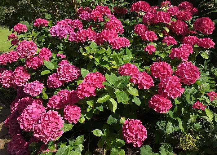 Scholien 度假居 奥滕多夫