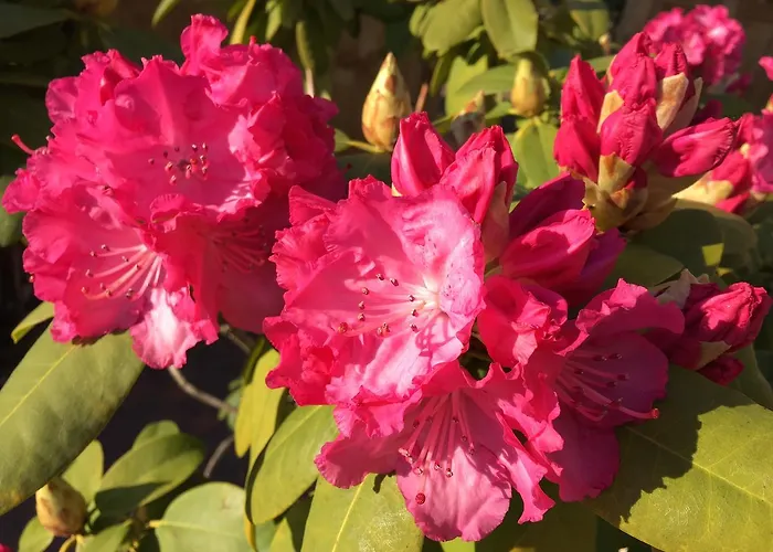 度假居 Scholien 奥滕多夫