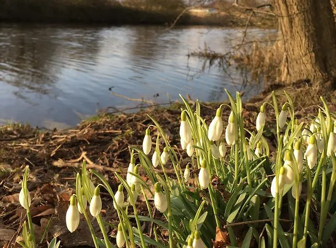 度假居 Scholien *