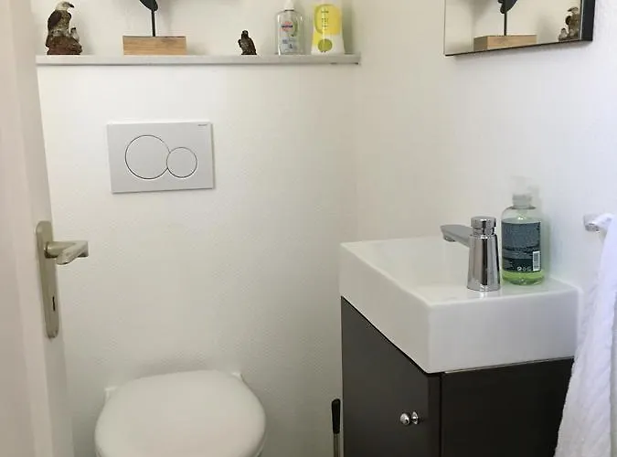 度假居 Scholien *