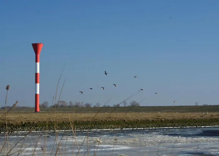 度假居 Scholien *